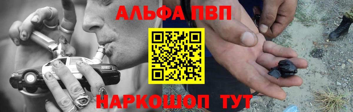APVP СК Вологда
