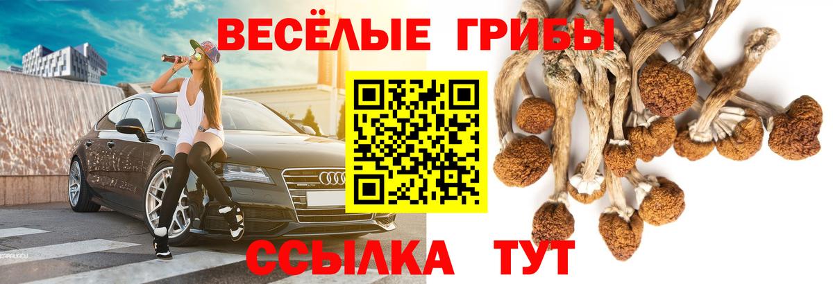 Галлюциногенные грибы Magic Shrooms  Псилоцибиновые грибы MAGIC MUSHROOMS  Вход с VPN  Вологда 
